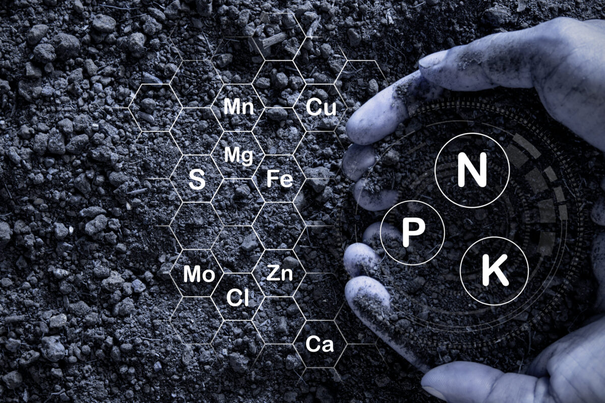 Hands holding soil with nutrient symbols N, P, K and micronutrients